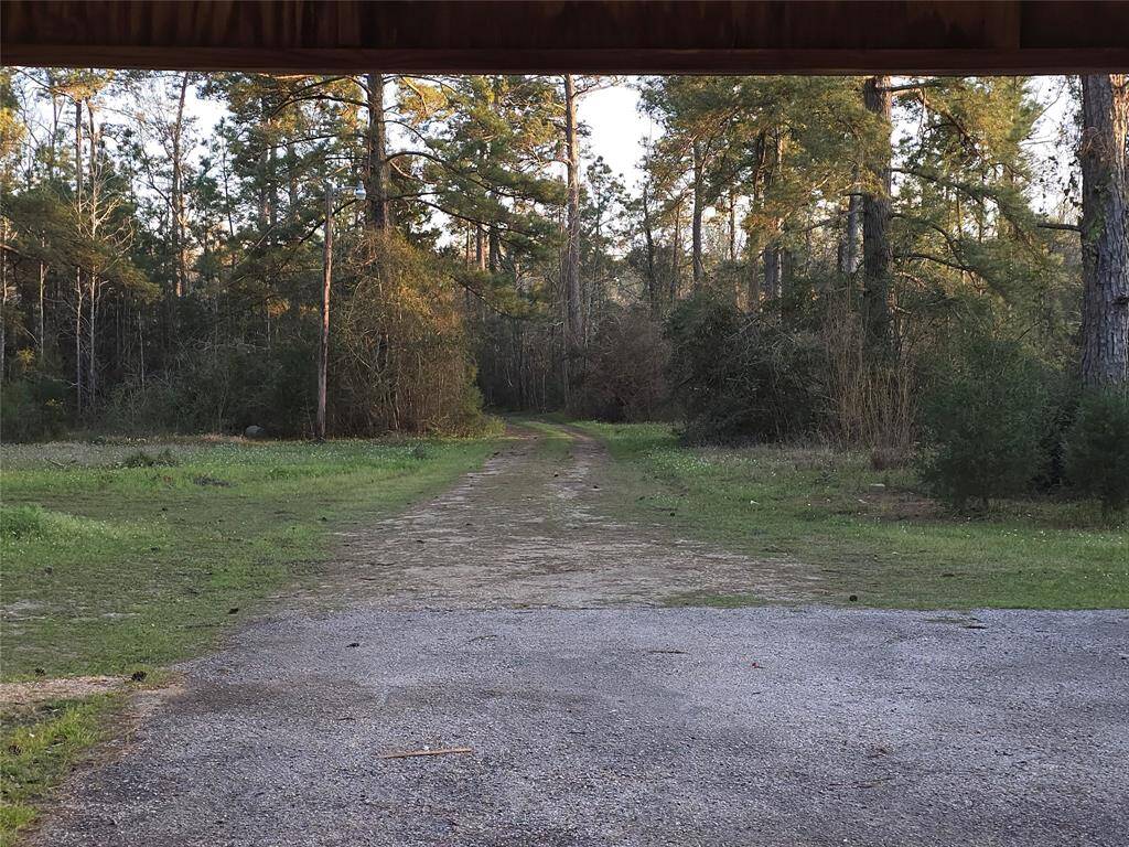 Property Image 41