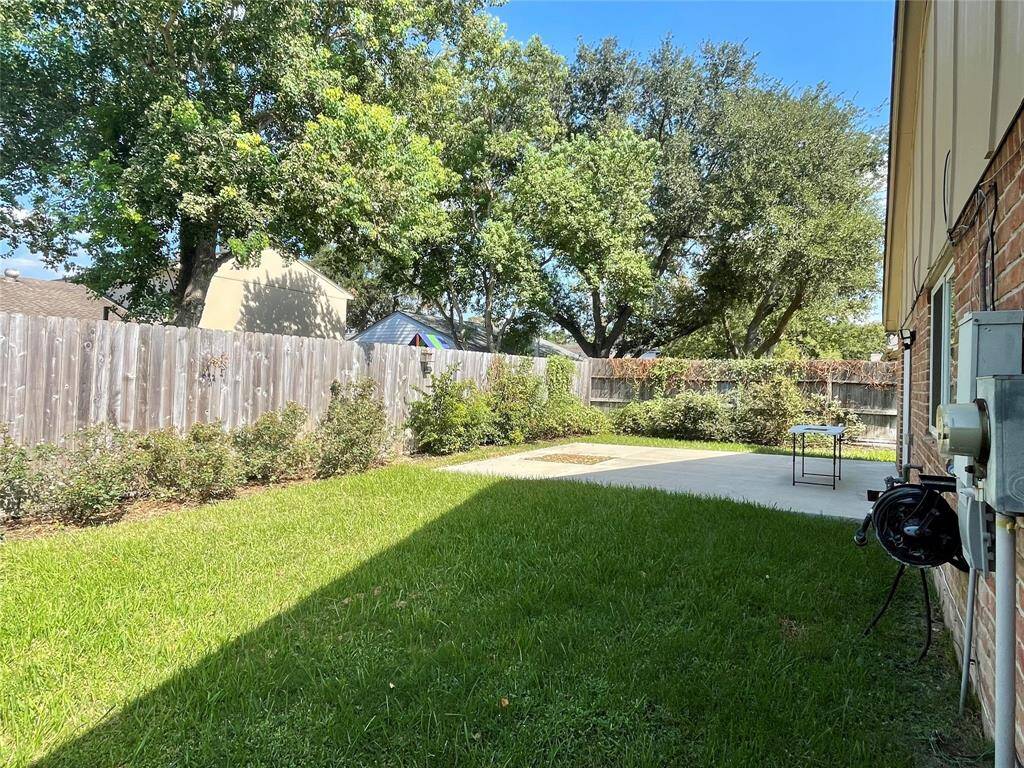 view of the backyard