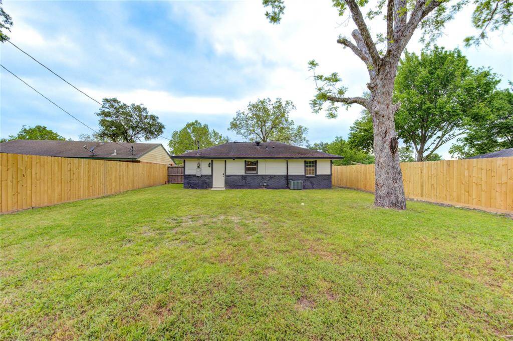 Large Backyard