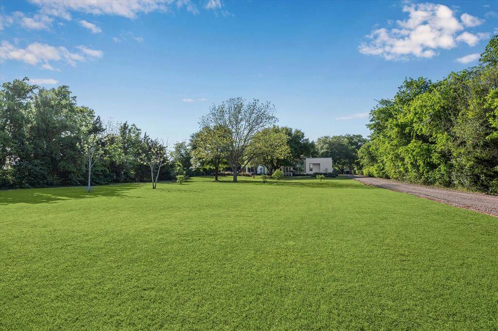 Just imagine the possibilities...horses? Grape vines? Or just gorgeous green grass as you currently see today.