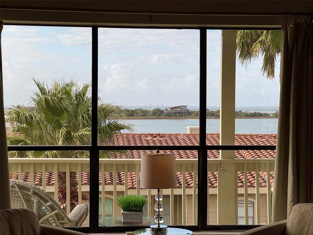 View from the Living Room
