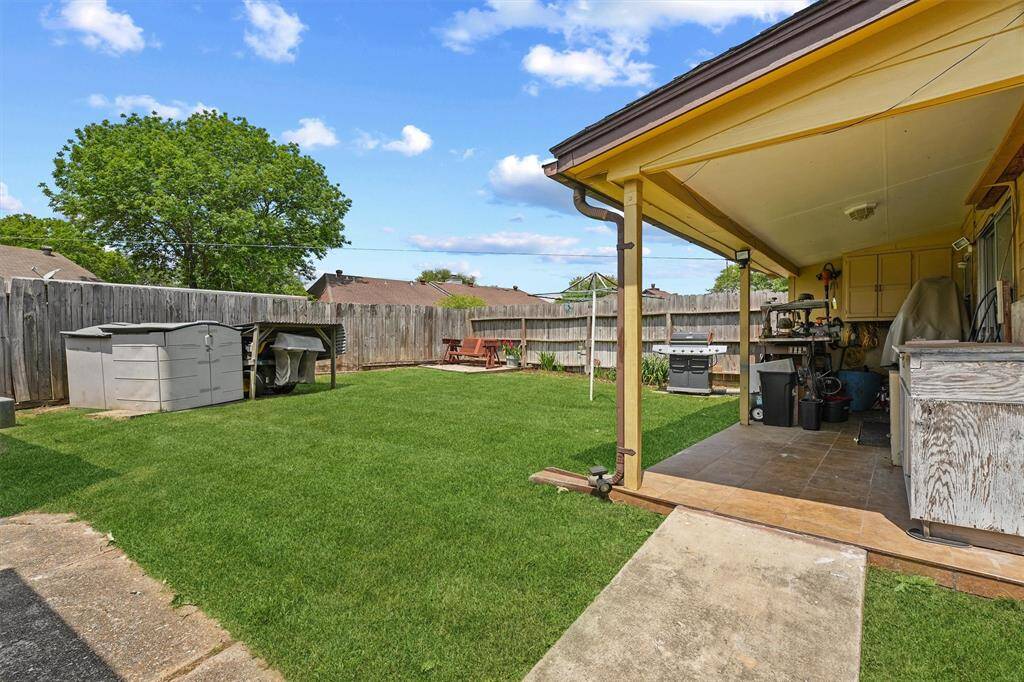 Back yard