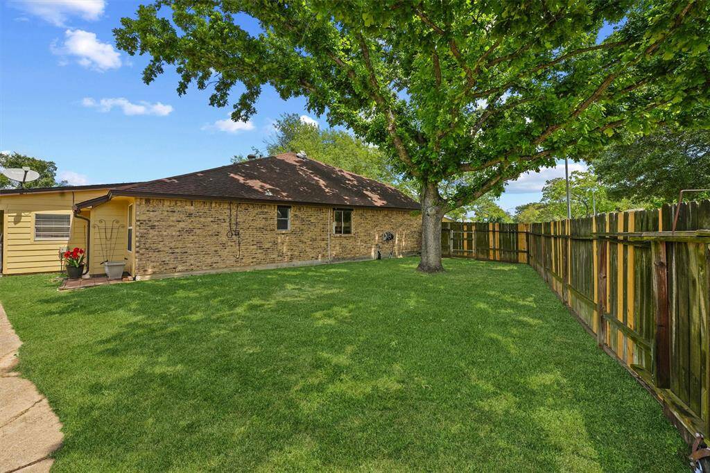More back yard with this beautiful oak tree!