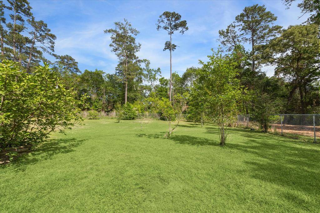 Fenced backyard