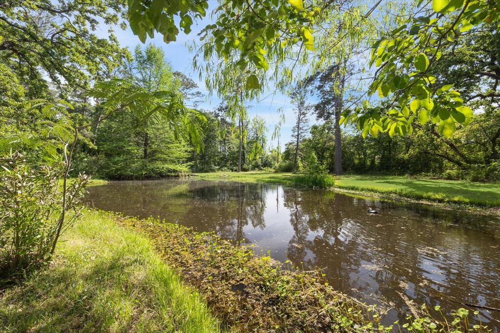 Pond looking back towards the house