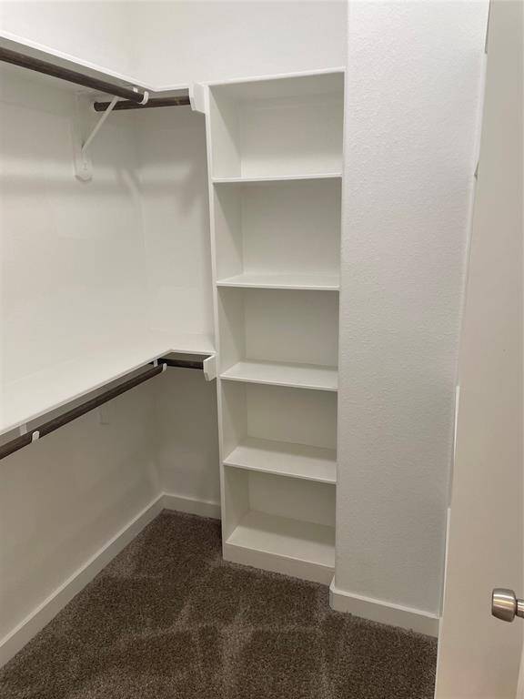 Primary bedroom closet