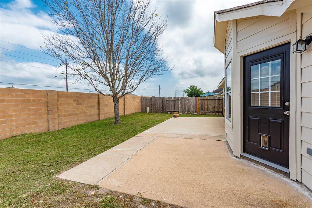 The patio area and doggy door.