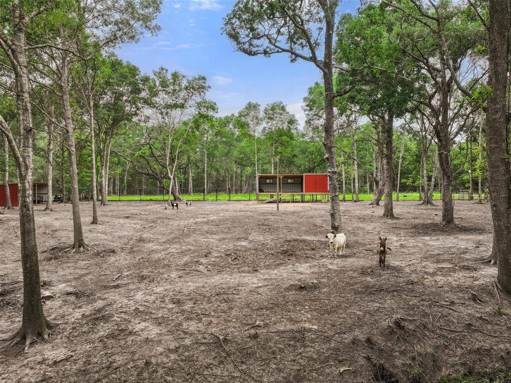 The animal area is a sight to behold, reminiscent of a Friday night lights environment, with relaxing bench areas and three animal structures, along with a chicken coop.
