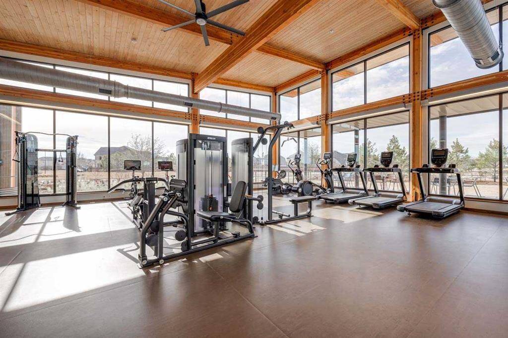 Elyson Gym