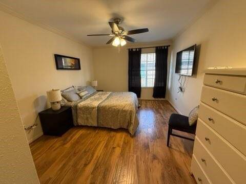 Primary bedroom with laminate-wood flooring. Large window that lets in a lot of natural light.