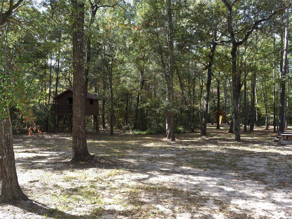 Community park_Camp/Play