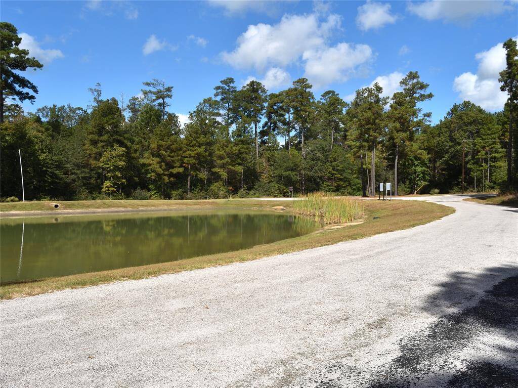 Community park pond