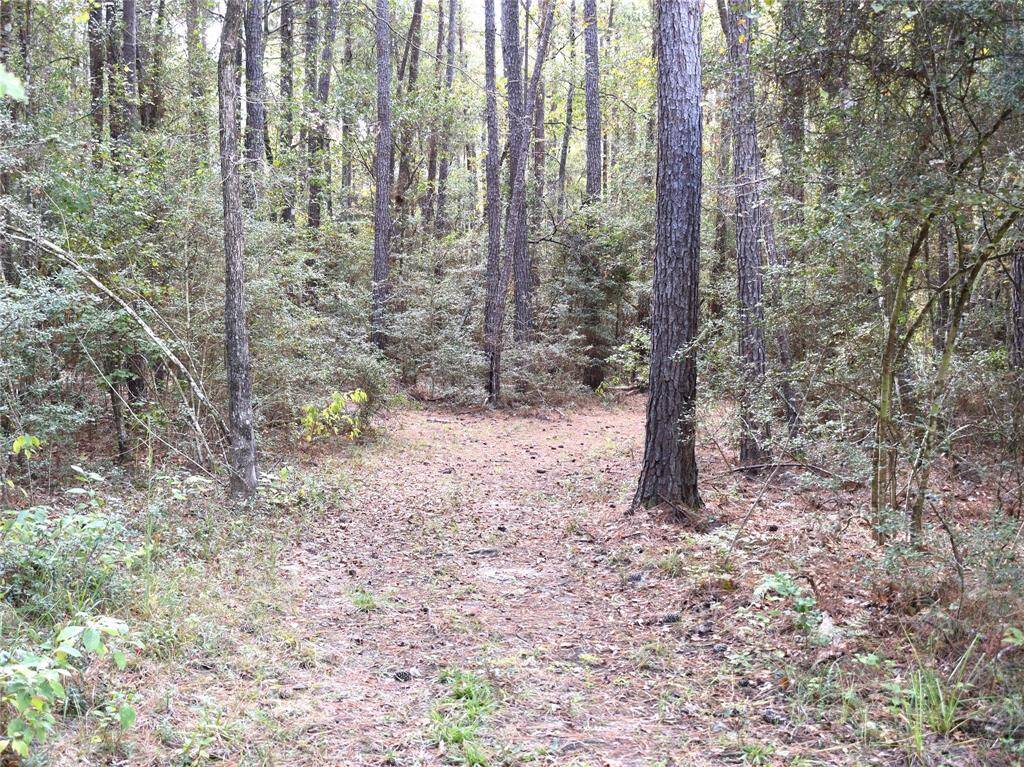 Park trail