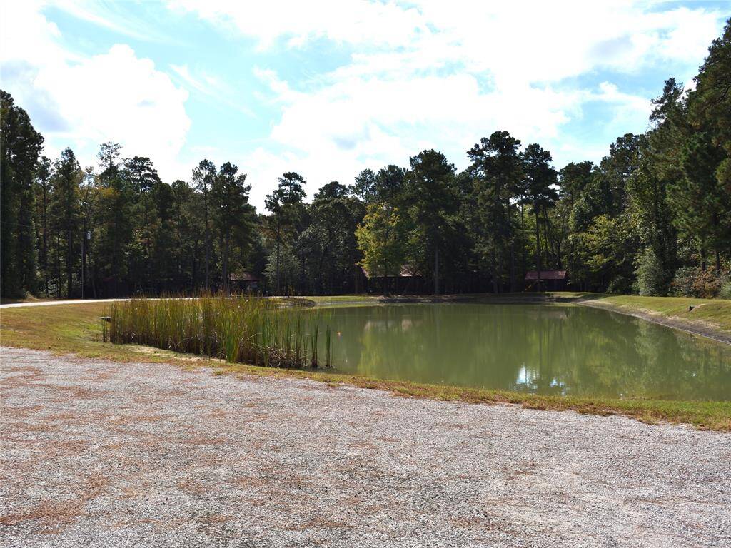 Park pond - frontal view
