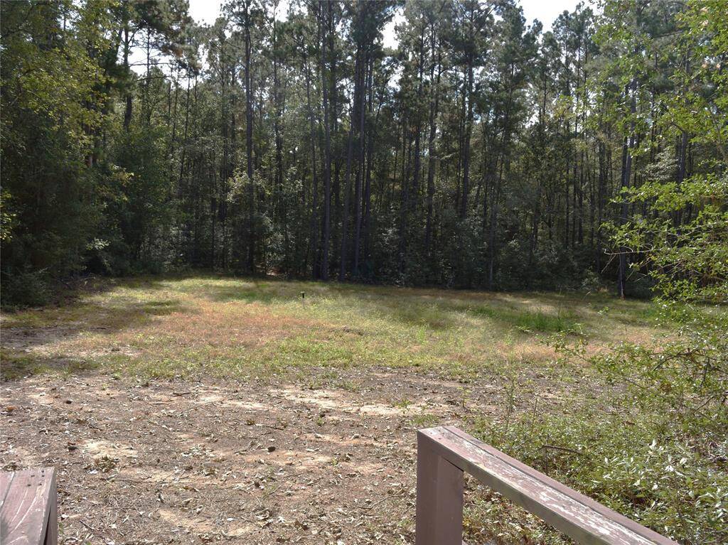 Park trail view