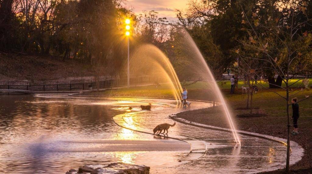 Dog Park