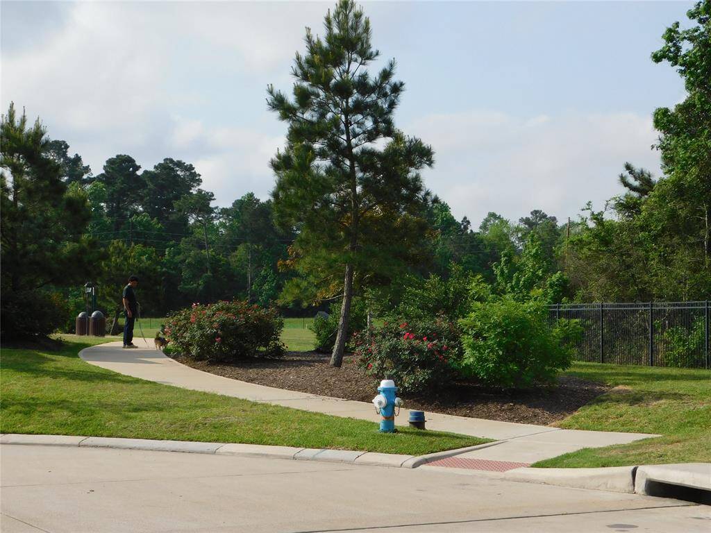 Neighborhood trail starts nearby