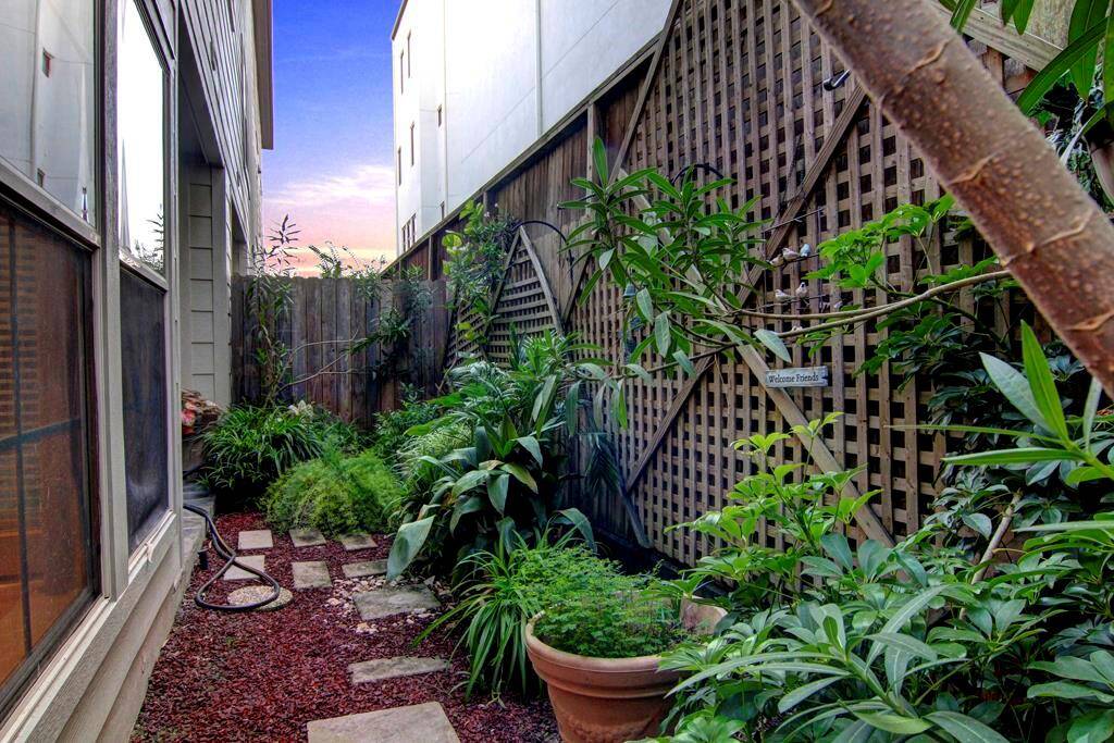 View of backyard