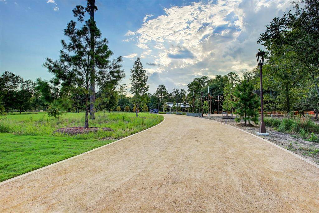 Bring a blanket and have a picnic at the park.