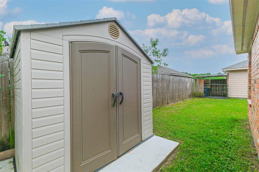 View of the back yard.