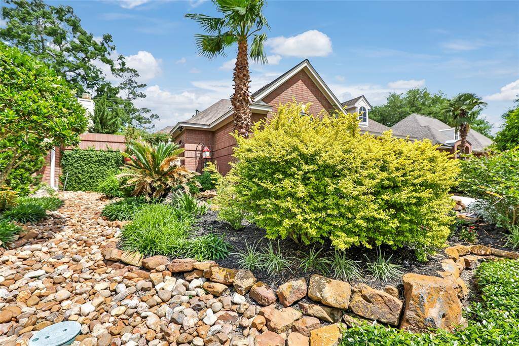 Award winning yard