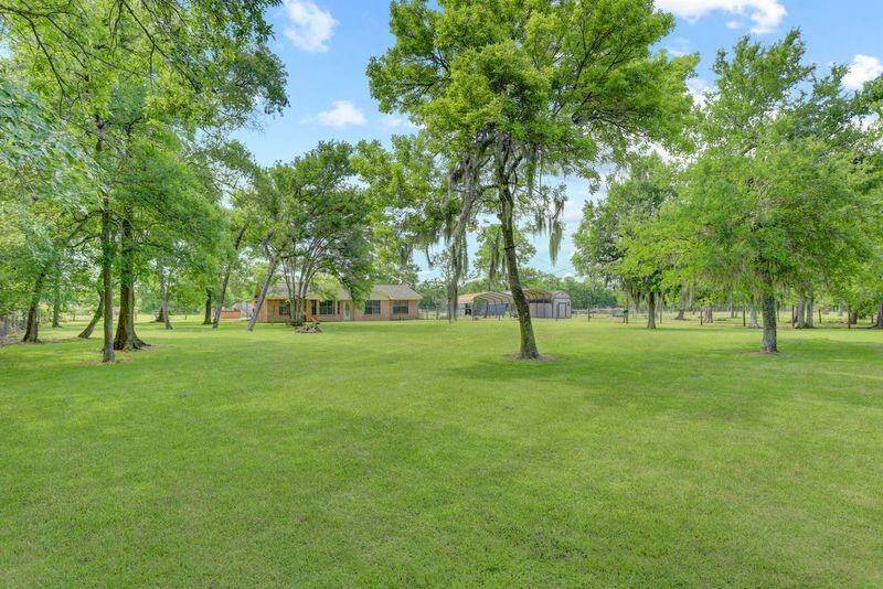 Spacious Front Yard