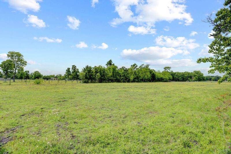 Back Pasture View