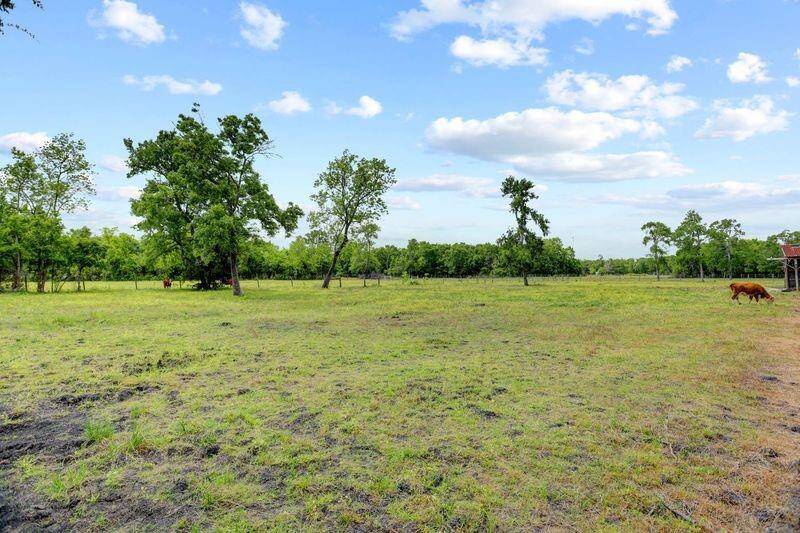 Pasture View