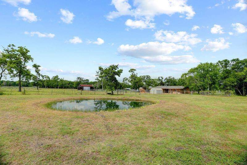 Pond View