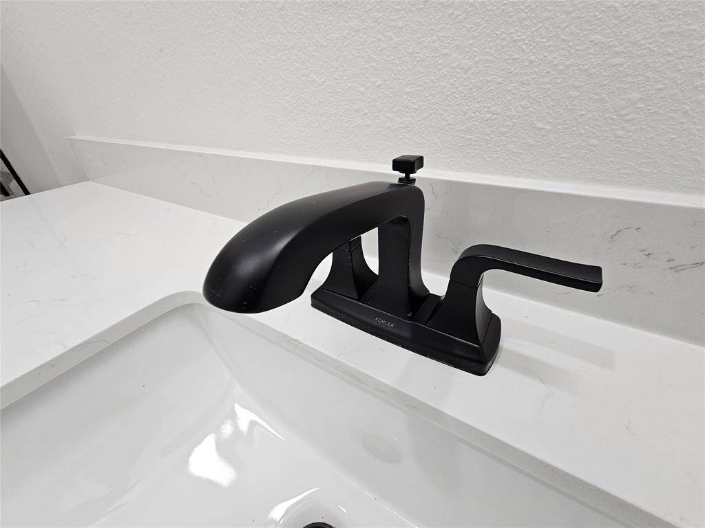 Black faucet thoughout home.