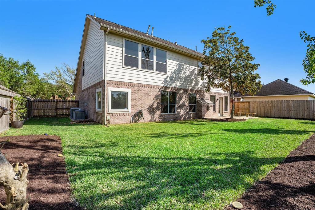 Large Backyard