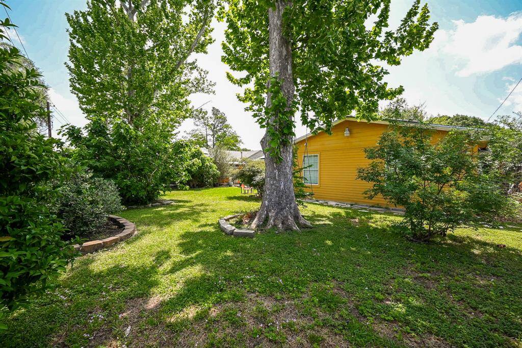 Large Backyard