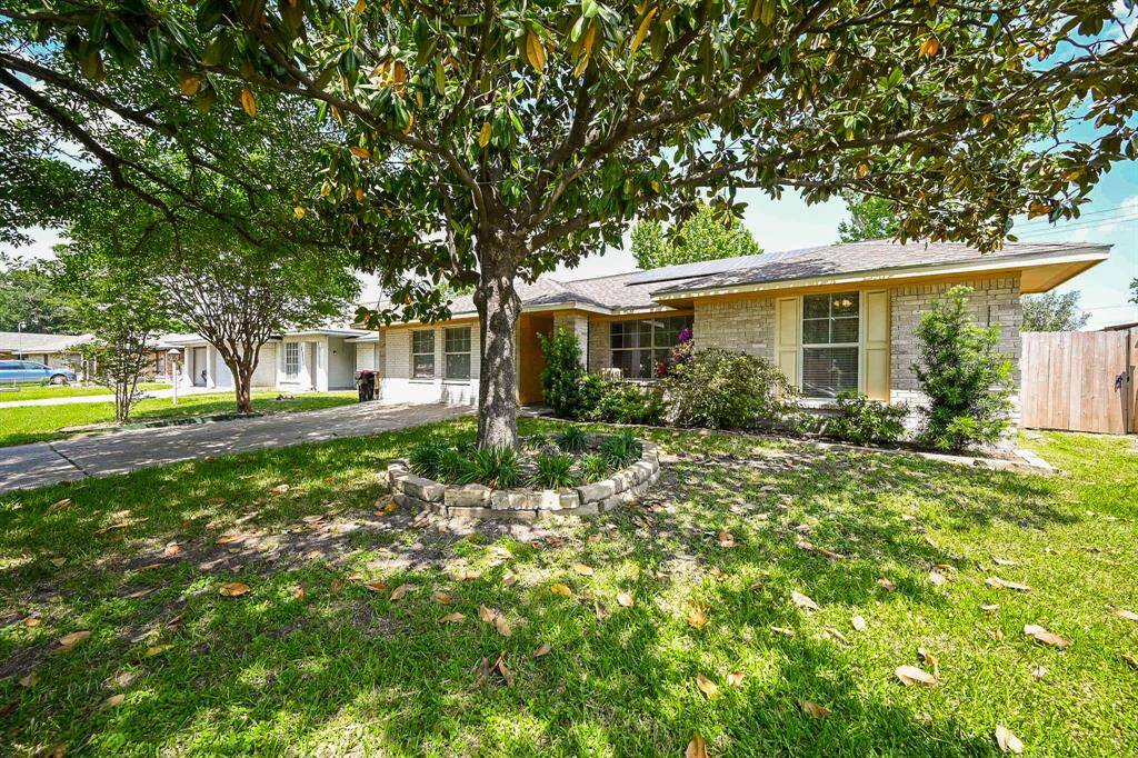 Large Front yard