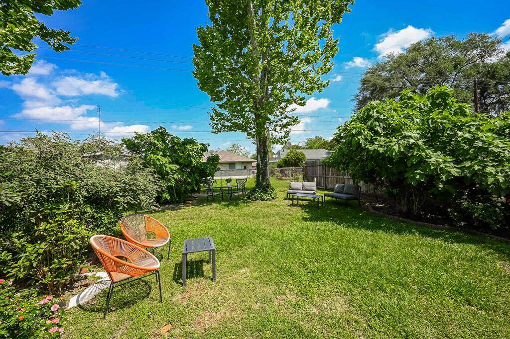 Peaceful Backyard