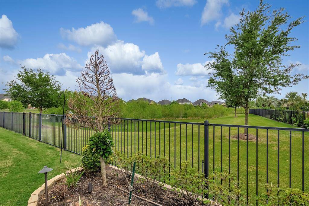 View from your patio and windows.