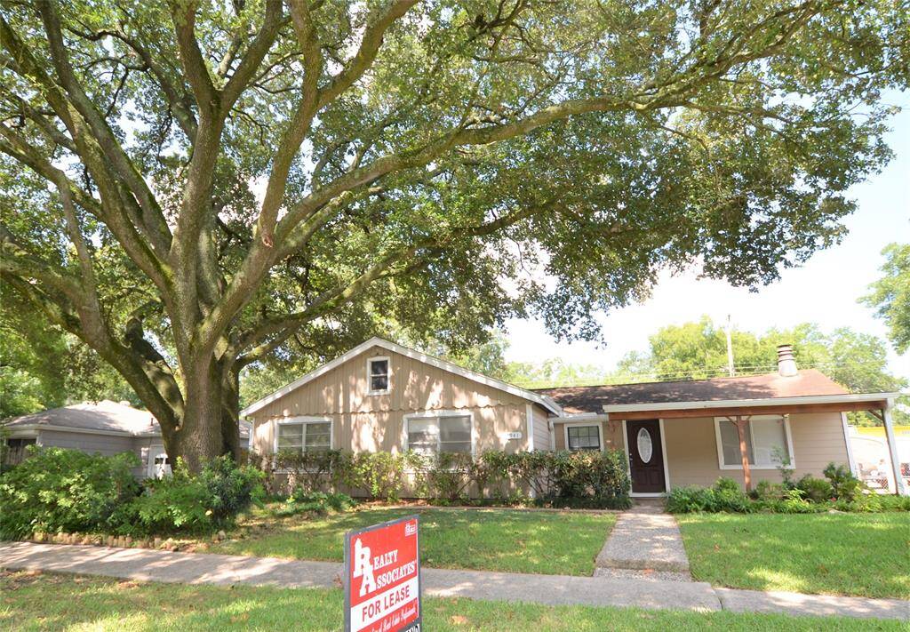 Majestic Live Oak Tree brings you lot of shade in these hot summers.