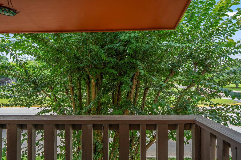 Patio Area