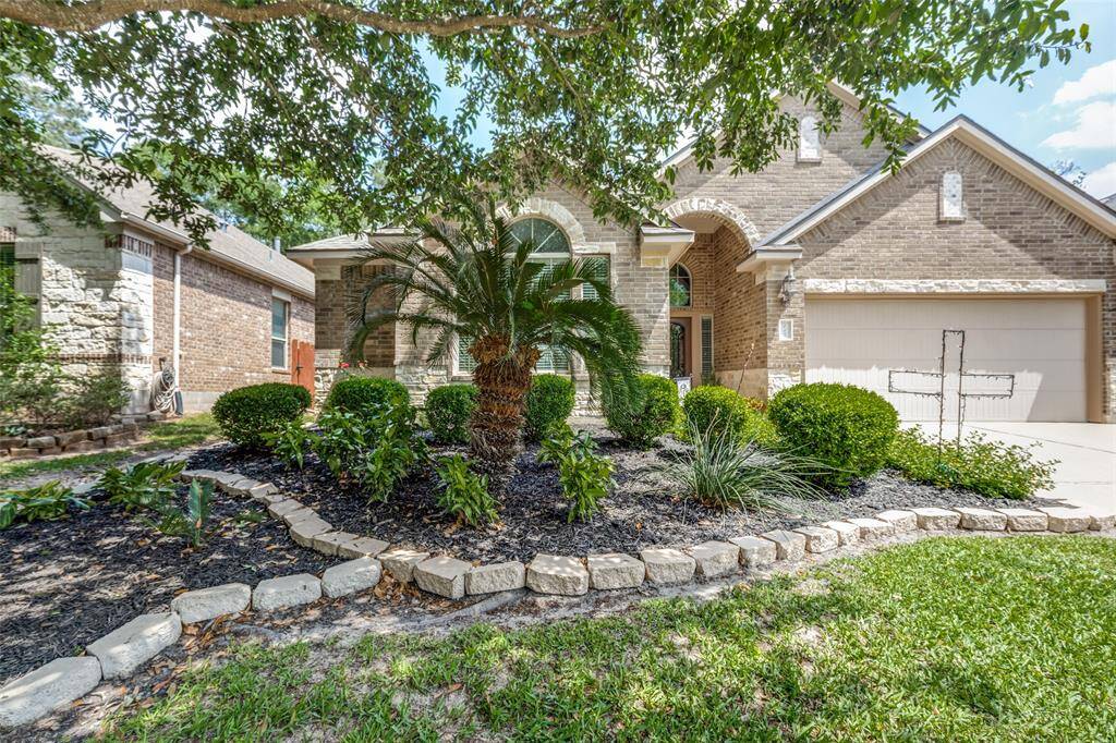 Large palm, dessert yucca and other shrubs & flowers surrounding the front yard.