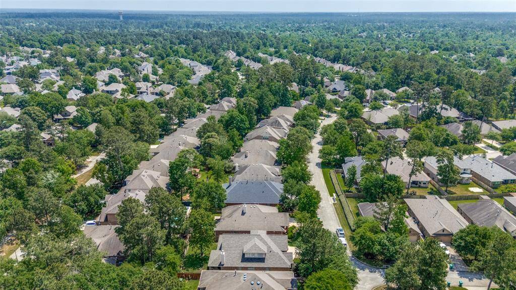 Aerial view of beautiful trees.