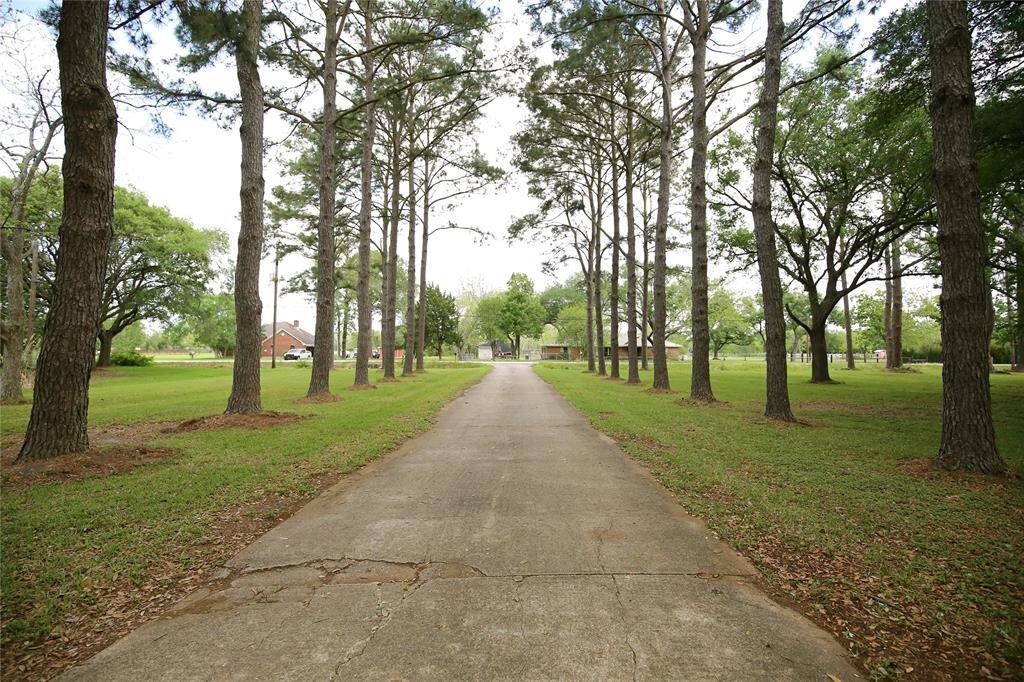 This is a Beautiful Driveway!
