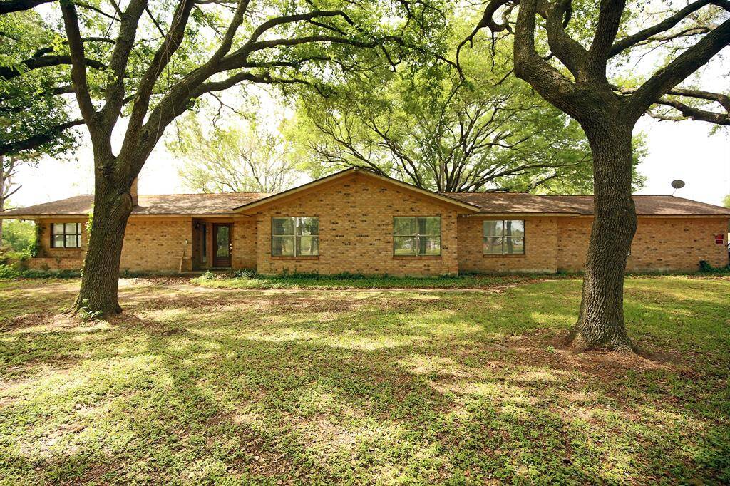 The Front Yard full of Oak Trees!