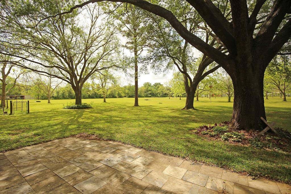 Looking Out the Backyard!!