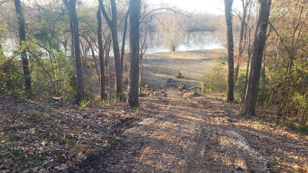 Gorgeous scenic views of the trinity river!