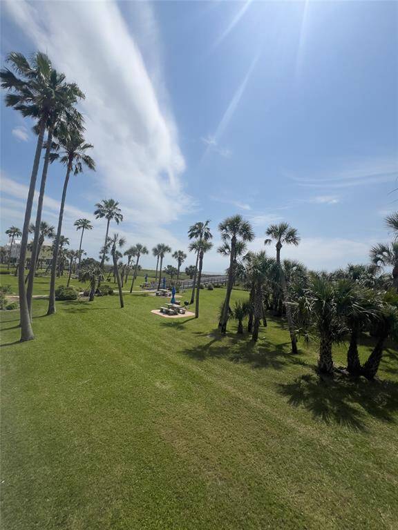 This photo showcases a spacious, sunny lawn dotted with tall palm trees, offering a serene, tropical vibe. Ideal for relaxation and outdoor activities, it provides a clear view of the sky and horizon.