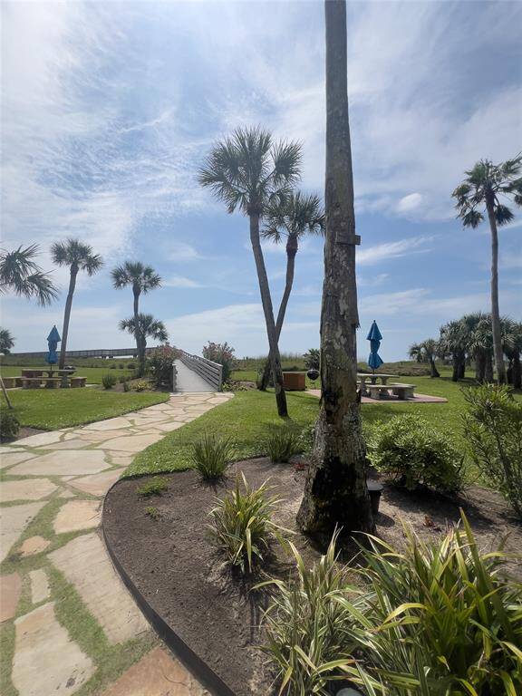 This photo showcases a serene outdoor space with a stone pathway, lush greenery, and tall palm trees. There are picnic tables with blue umbrellas and a small bridge, creating a relaxing and inviting atmosphere, perfect for enjoying the outdoors.