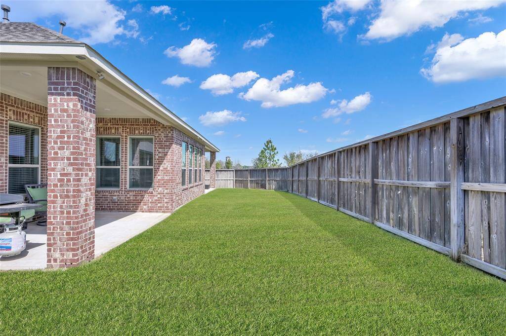 Backyard (with 2 patios)