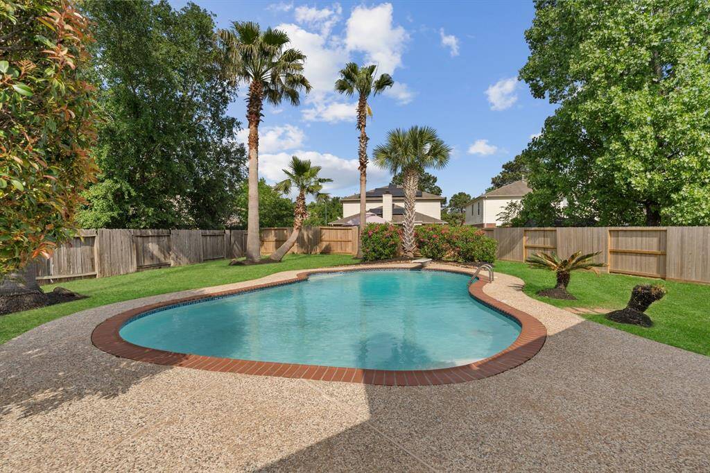 The backyard paradise!