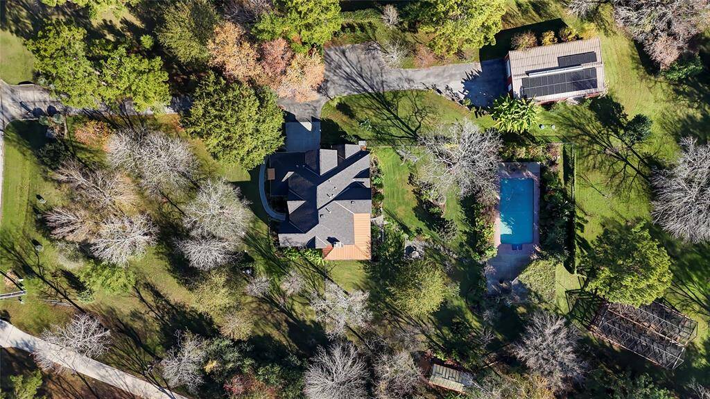 View from directly above-