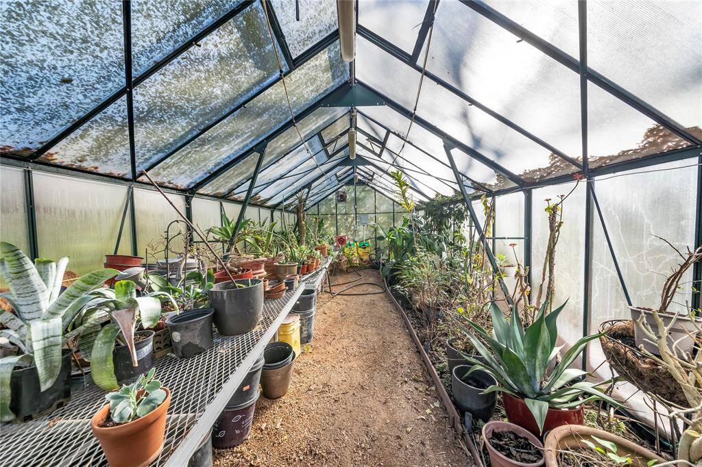 Second greenhouse with succulents