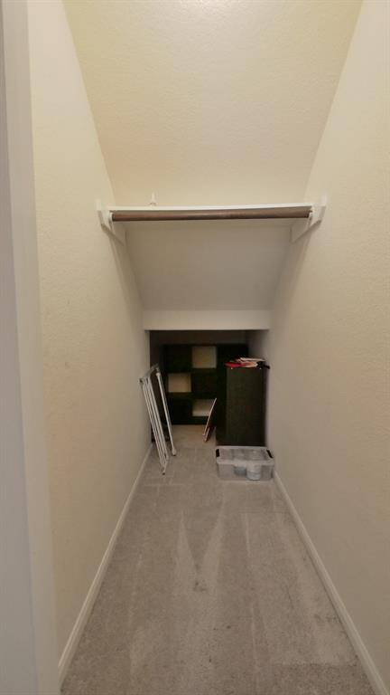 Closet under the Stairs